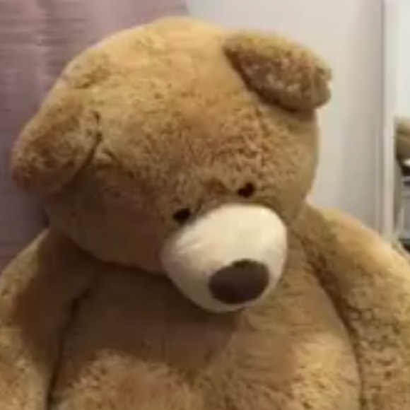 Meet your Posher, Adrian - Picture 1 of 1